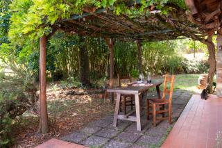Lucigarden Country House con piscina - Lucignano - 4