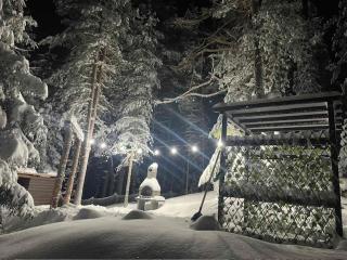 Pine Retreat - Žabljak - 3