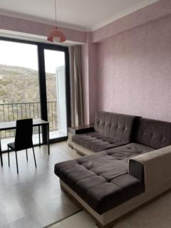 Rent Tbilisi saburtalo mindeli 9b apartament - Tbilisi - 1