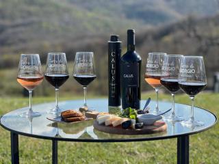 Terre di GIORGIO Agriturismo Villa la Palazzetta - Castiglione dʼOrcia - 0