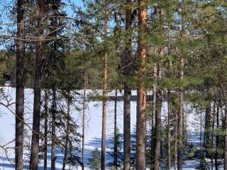 Kitka riverview home - Kuusamo - 1
