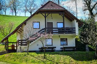 Countryside house - Male Brusnice - 4