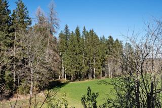 Ferienwohnung Schartenschmiede - Sankt Georgen im Schwarzwald - 9