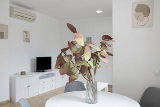 Apartamento Perez Zara 4 - Conil de la Frontera - 5