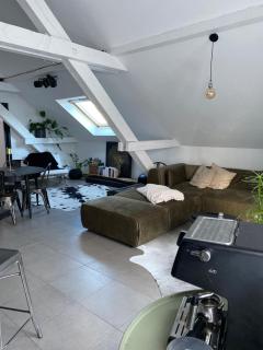Appartement atypique lumineux - Sélestat - 7