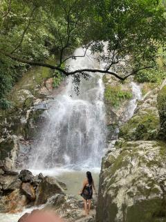Bosque Azul - Minca - 0