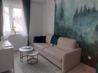 Apartament Górskie Zacisze - Szklarska Poręba - 2