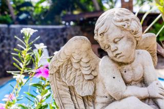 Villa créole au coeur de Péreybère - 4