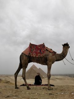 T2 pyramids View - Cairo - 0
