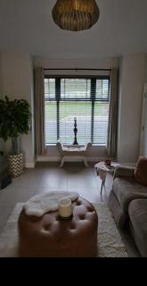 Modern Mountain View near the beach! - Newry - 7