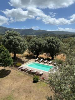 Domaine de Tappa - Casa Filicina - Sollacaro - 7
