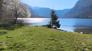 Fresh romance by the river - Bohinj - 6