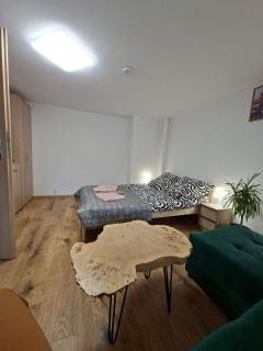 Apartament Wolności - Szczytna - 4