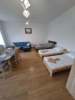 Apartament Wolności - Szczytna - 9