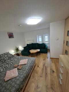 Apartament Wolności - Szczytna - 8