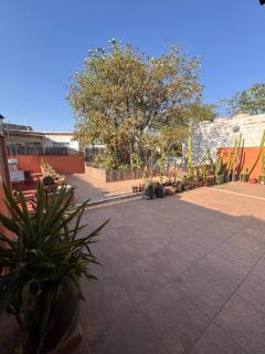 La Casa del Arbol - Città di Oaxaca - 9