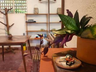 Tiny House 4 Jaguar - Puerto Escondido - 7