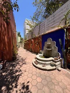 La Casa del Arbol - Città di Oaxaca - 3