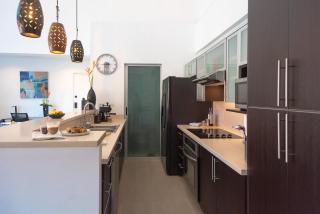 Euroloft Luxury Penthouse with Rooftop Pool and Views - San Rafael - 4