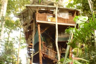 TreeHouseInCostaRica com - Tigre - 9