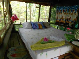 TreeHouseInCostaRica com - Tigre - 7