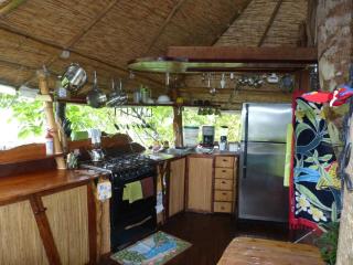 TreeHouseInCostaRica com - Tigre - 6