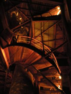 TreeHouseInCostaRica com - Tigre - 4