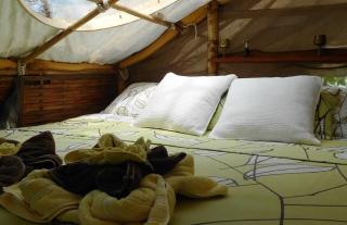 TreeHouseInCostaRica com - Tigre - 3