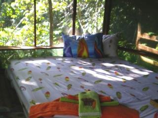 TreeHouseInCostaRica com - Tigre - 2