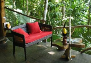TreeHouseInCostaRica com - Tigre - 1