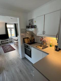 Stor attraktiv studioleilighet i sentrum - Trondheim - 0