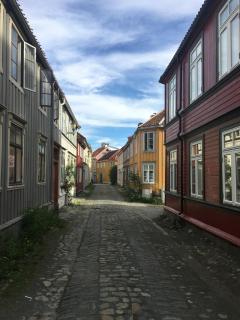 Stor attraktiv studioleilighet i sentrum - Trondheim - 5