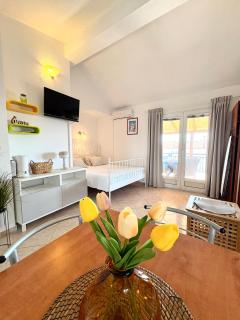 Apartmani INO - Pakoštane - 1
