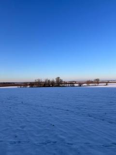 Auszeit in Märkische Schweiz - Müncheberg - 5