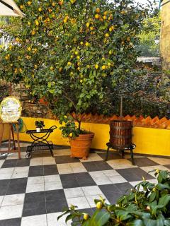 La Poesia Apartment - Monterosso al Mare - 1