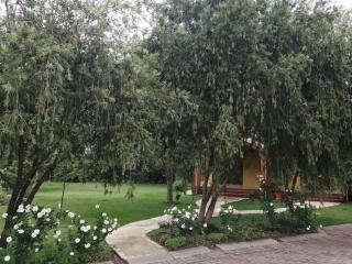 Musasa gardens - 4