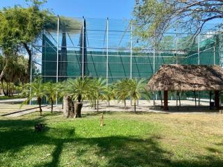 Casa Palma - Chetumal - 7