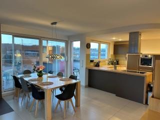 D2 Luxus-Penthouse mit Dachterrasse - Bis 9 Personen - A81 - Stuttgart - Messe - Daimler - ab 5 Nächte - Business Center und Konferenzraum separat buchbar - Schönaich - 8