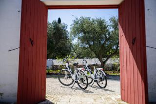 Tenuta Amostuni-Country House - 4