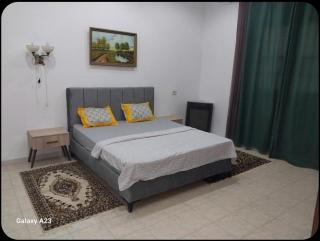 DarNour - - 5