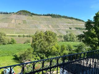 Winzervilla Kammerhof - 3x stilvolle & geräumige FeWos mit Moselblick, 2-12 Gäste buchbar, direkt am Moselradweg - Brauneberg - 7