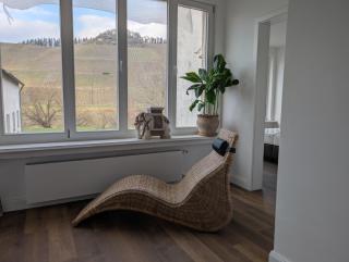 Winzervilla Kammerhof - 3x stilvolle & geräumige FeWos mit Moselblick, 2-12 Gäste buchbar, direkt am Moselradweg - Brauneberg - 5