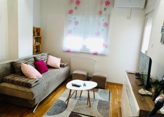 Apartman Ema - Banja Luka - 9