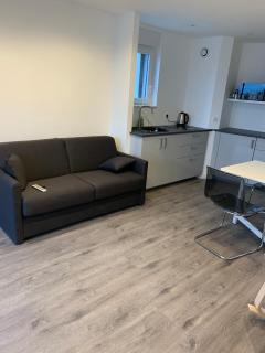 Renovated 3-room apartment near tram stop - Strasburgo - 6