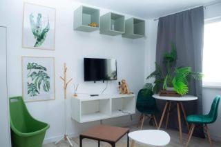 Jungle & Orange Box - Studio - Navodari - Năvodari - 0