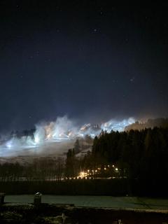 WillingenHOME - Willingen - 8