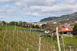 Basarte Cottage - Bakio - 8