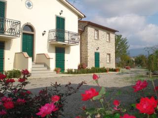 Le Casine - Cortona - 0