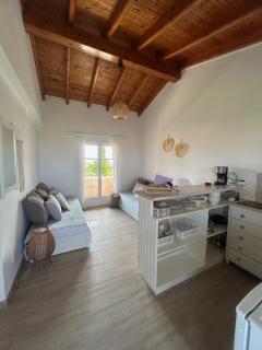 Oleander Apartment - Agios Georgios - 8
