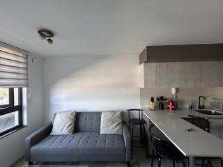 Departamento amoblado central - Temuco - 7